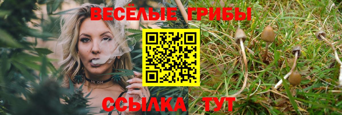 Псилоцибиновые грибы MAGIC MUSHROOMS Котовск