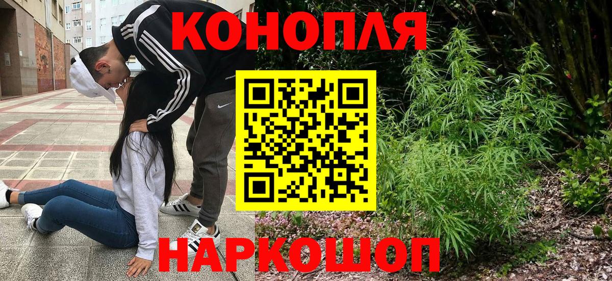 МАРИХУАНА семена  Конопля Bruce Banner  Вход с VPN  Котовск 